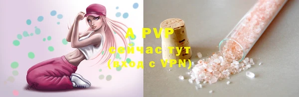 a pvp Белокуриха