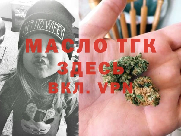 Альфа ПВП Верея